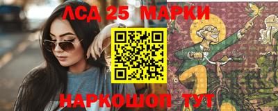 индика Жуковский