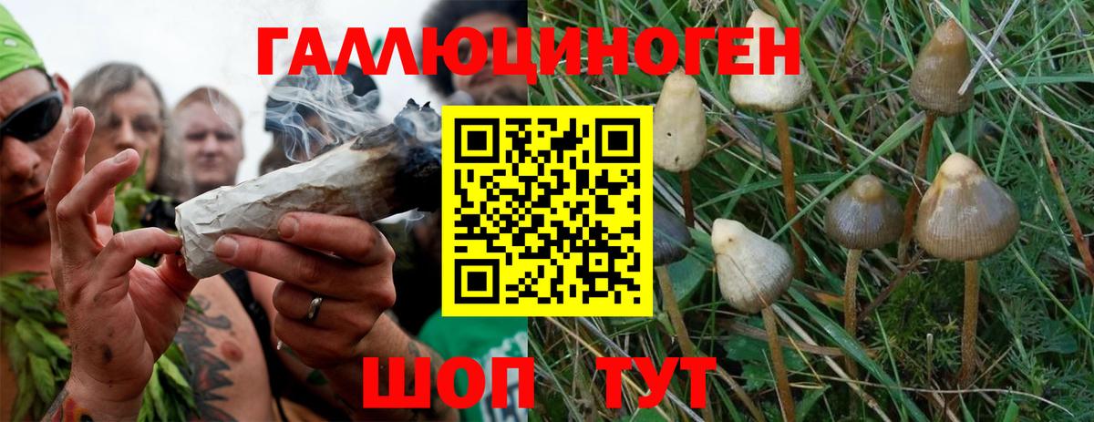 Псилоцибиновые грибы Magic Shrooms  Галлюциногенные грибы прущие грибы  Новочеркасск  Вход с VPN 